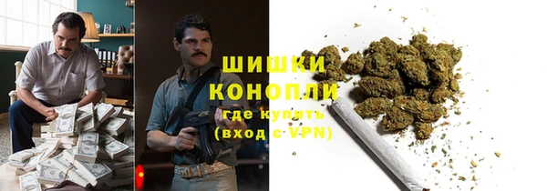 сатива Алзамай