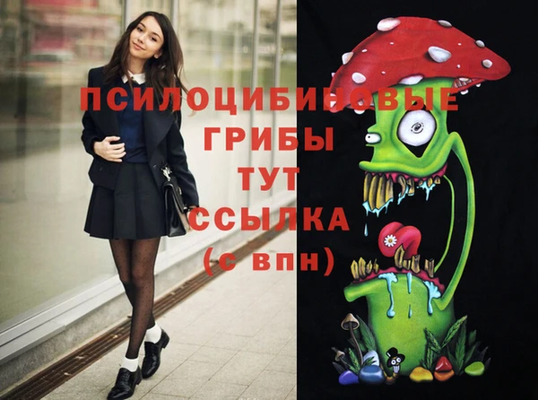 сатива Алзамай