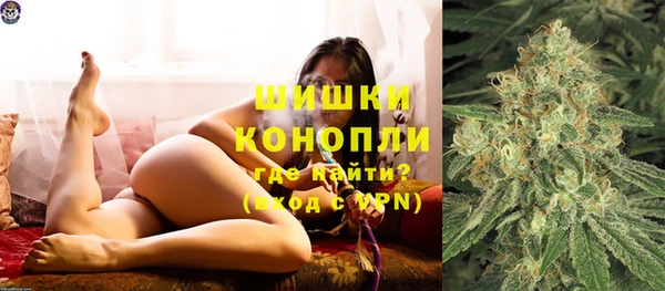 сатива Алзамай