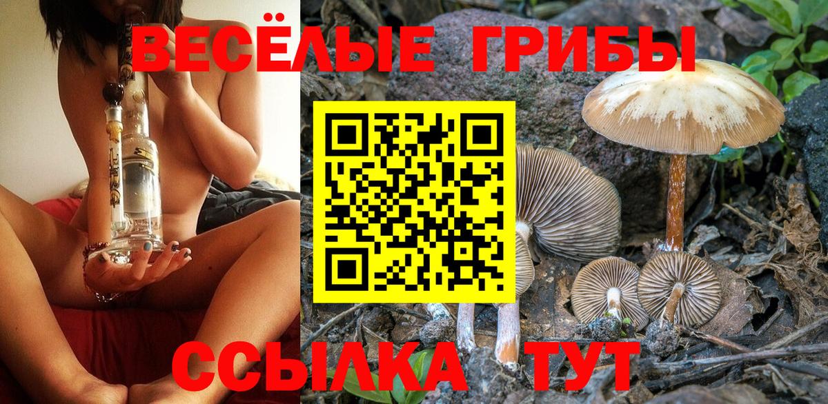 Псилоцибиновые грибы прущие грибы Люберцы